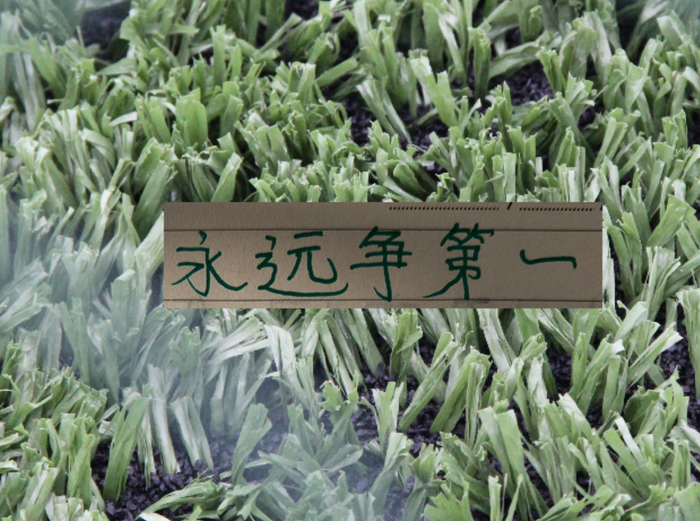 青岛海牛会战胜北京国安吗|上海海港|中超|上海申花|上海申花足球俱乐部|中超联赛_新浪体育_新浪新闻